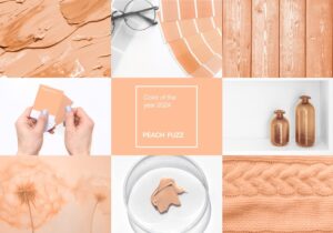 Lee más sobre el artículo Para este año 2024 lA MODA COLOR peach fuzz