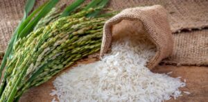 Lee más sobre el artículo El arroz con arsénico que llega a Haití desde EEUU crea alerta sobre seguridad alimentaria