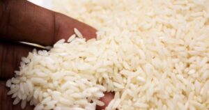 Lee más sobre el artículo Estudio revela presencia arsénico en arroz de EU se vende en la RD