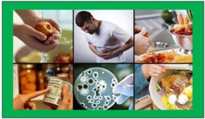Lee más sobre el artículo Enfermedades transmitidas por alimentos