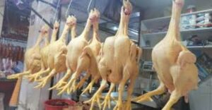 Lee más sobre el artículo Se registra un desabastecimiento del pollo e incremento en su precio