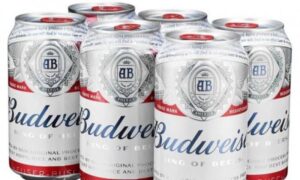 Lee más sobre el artículo La cervecera AB Inbev aumenta un 24,7% su beneficio en el segundo trimestre