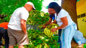 Lee más sobre el artículo Ministro de Agricultura exhorta a la población a consumir mas platanos debido a la sobreproducción