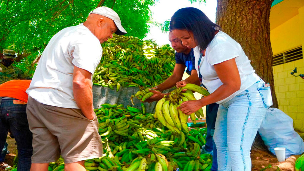 En este momento estás viendo Ministro de Agricultura exhorta a la población a consumir mas platanos debido a la sobreproducción