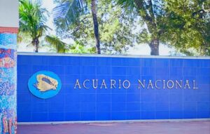Lee más sobre el artículo Reapertura parcial del Acuario Nacional la próxima semana