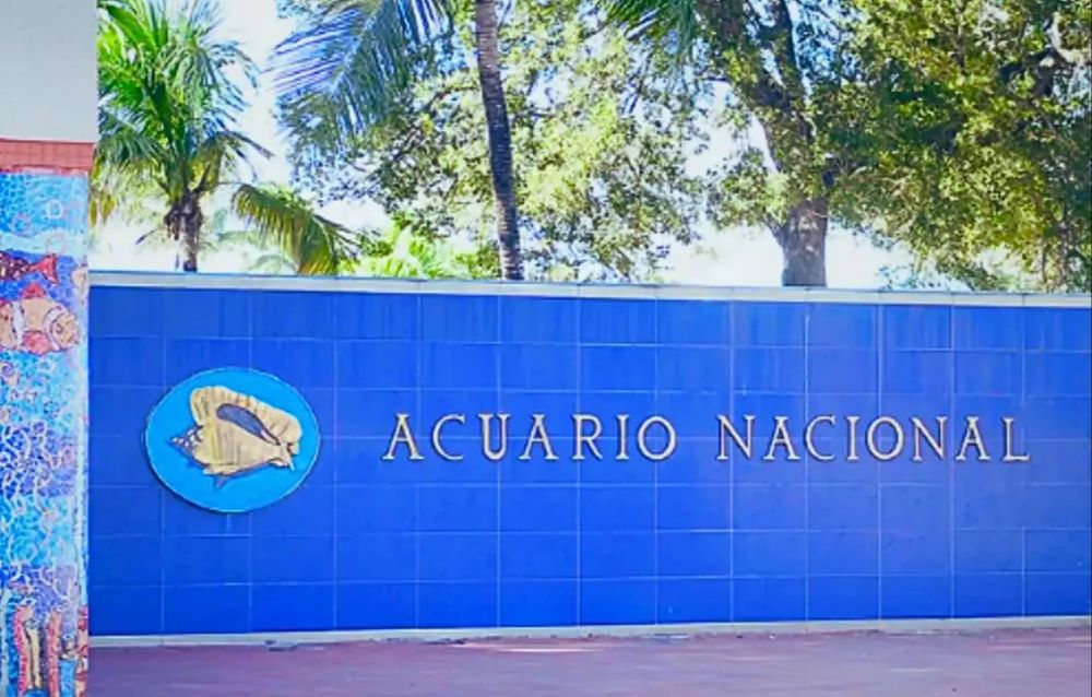 En este momento estás viendo Reapertura parcial del Acuario Nacional la próxima semana