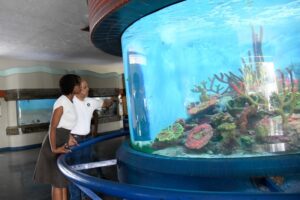 Lee más sobre el artículo El Acuario Nacional reabre sus puertas tras un año en remodelación