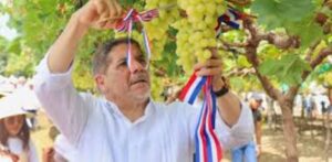 Lee más sobre el artículo RD empezará a exportar uvas de mesa la próxima semana