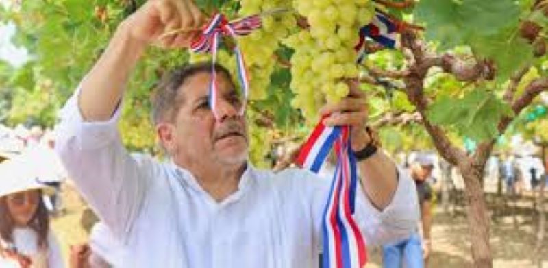 En este momento estás viendo RD empezará a exportar uvas de mesa la próxima semana