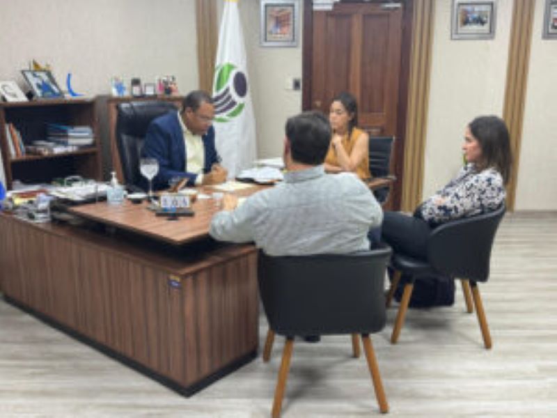 En este momento estás viendo Pro Consumidor inspeccionará cumplimiento de la medida: Uepa Tickets bloquea plataforma de reventa de boletas del concierto de Bad Bunny