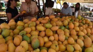 Lee más sobre el artículo Inauguran la Feria del Mango 2025 en Baní