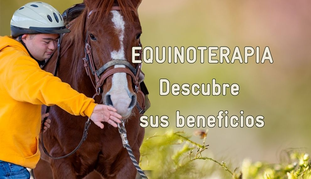 En este momento estás viendo Especialista resalta beneficios de la equinoterapia y expone desafíos para su expansión en RD