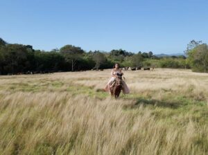 Lee más sobre el artículo Presentan «Edén Escondido»: Un Viaje al Corazón Ecoturístico y Productivo de Santiago Rodríguez