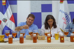 Lee más sobre el artículo  25.º Concurso Nacional de Mieles evidencia crecimiento y calidad de la apicultura dominicana